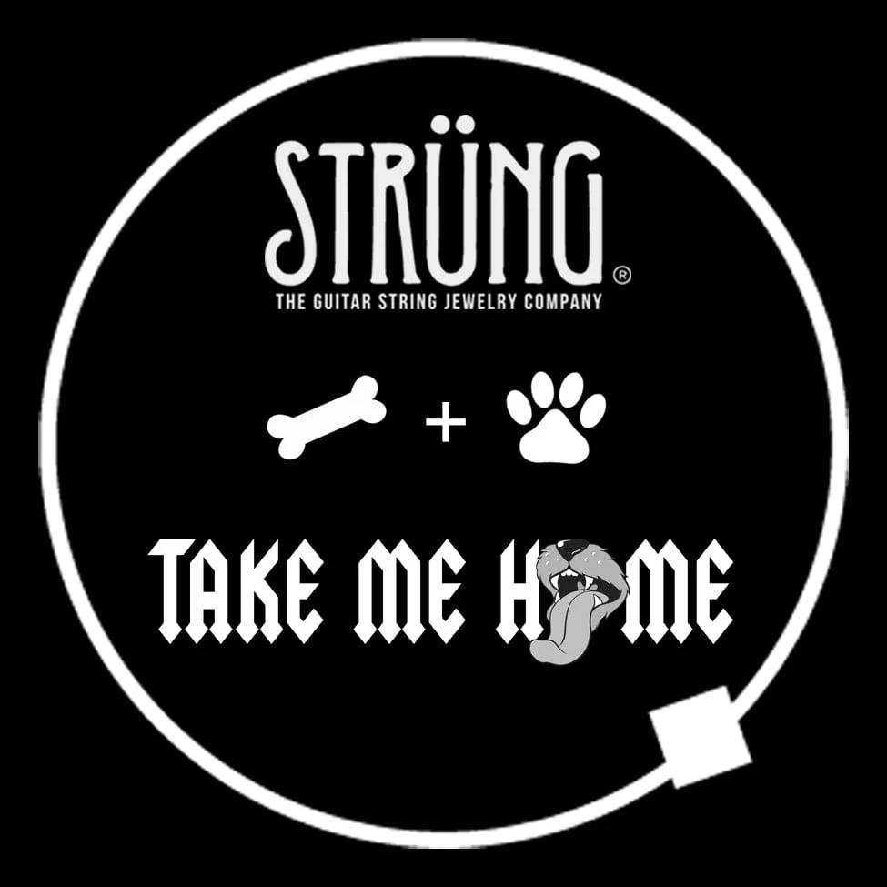 DOG BONE - “TAKE ME HOME TONIGHT” - Image 4