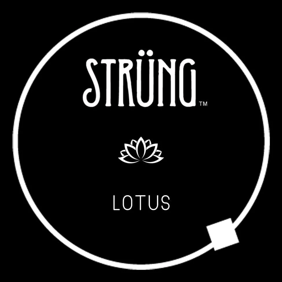 LOTUS – “WALKING ON SUNSHINE” - Image 7