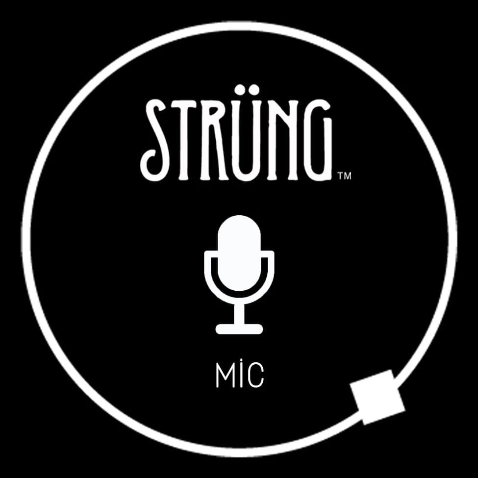 MICROPHONE - "You Shook Me All Night Long" - Image 5