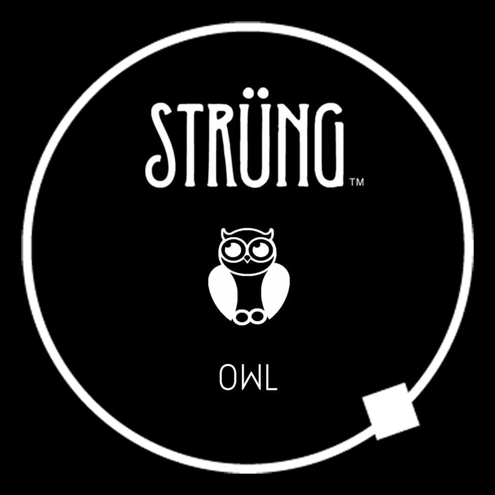 OWL– “FREE BIRD” - Image 6