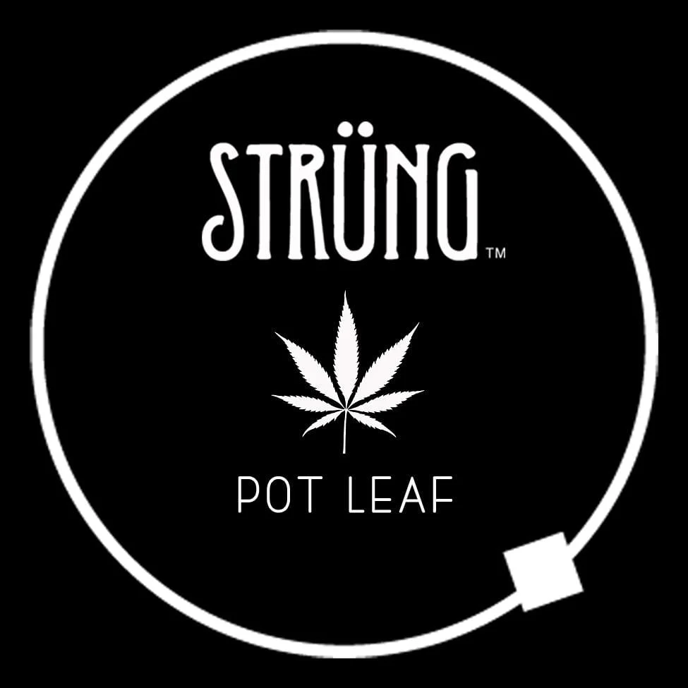POT LEAF – “LAST DANCE WITH MARY JANE” - Image 5