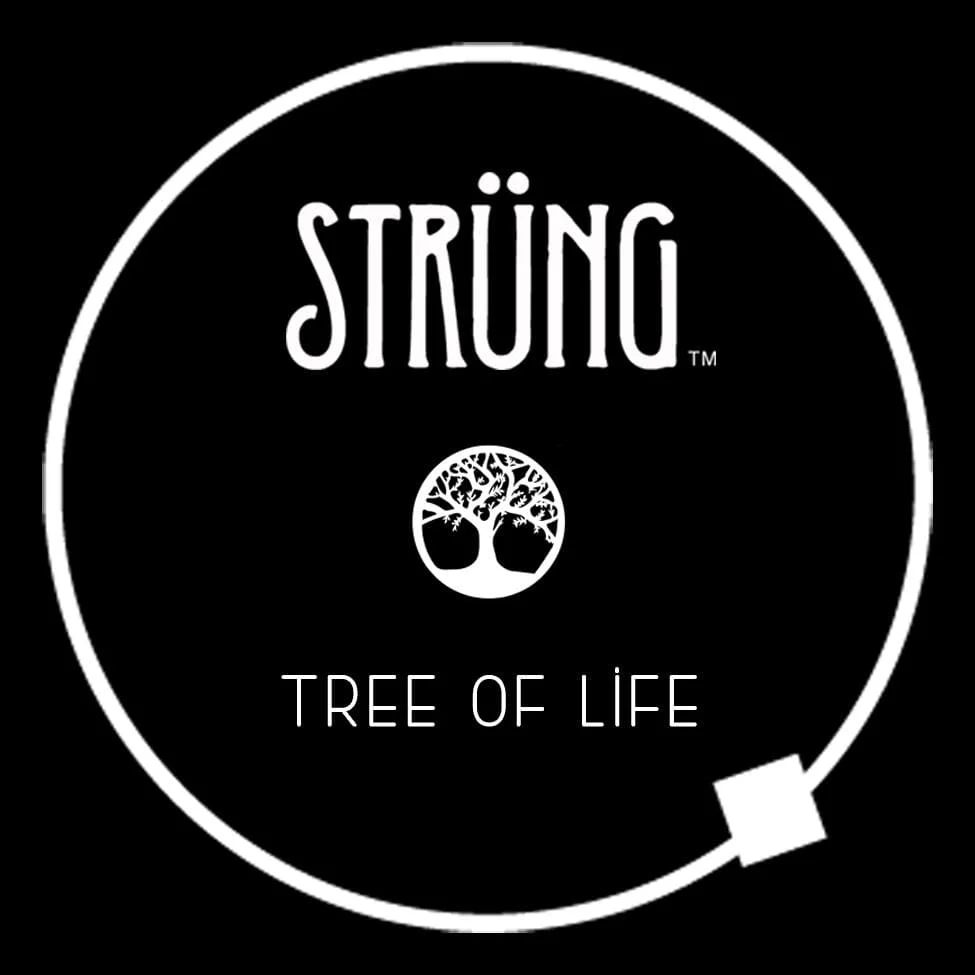 TREE OF LIFE – “FIRE ON THE MOUNTAIN” - Image 7