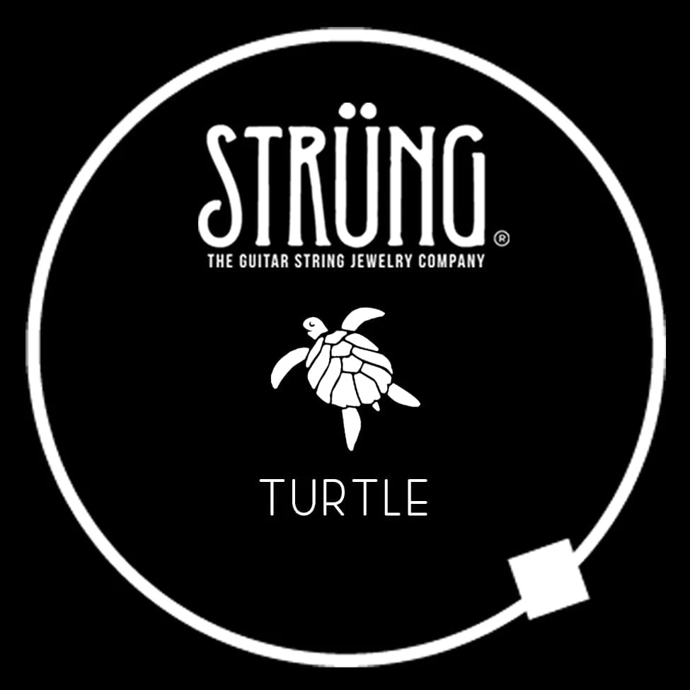 TURTLE – “HAPPY TOGETHER” - Image 5